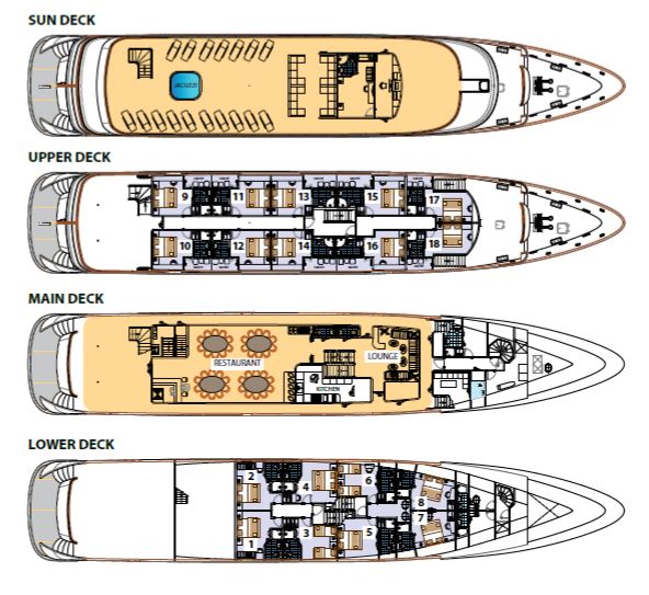 my wish cruise ship